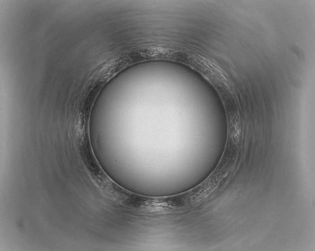 X0000116160607200912071326