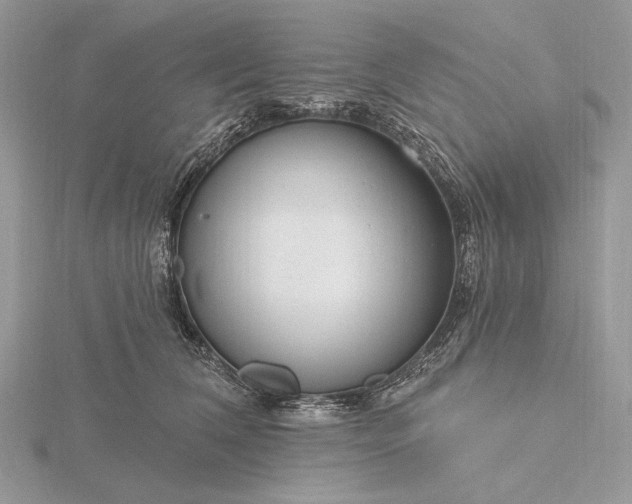 X0000116160612200912071326