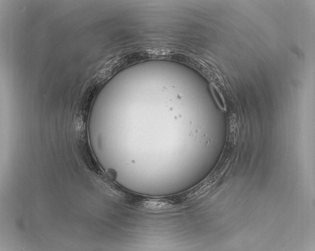 X0000116160614200912071326