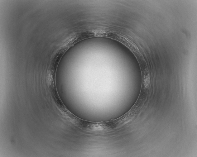 X0000116160618200912071326