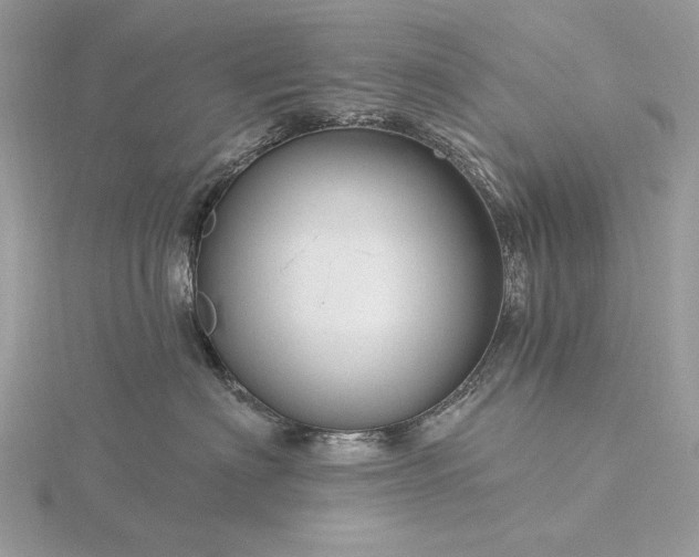 X0000116160622200912071326