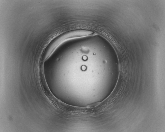 X0000116160626200912071325