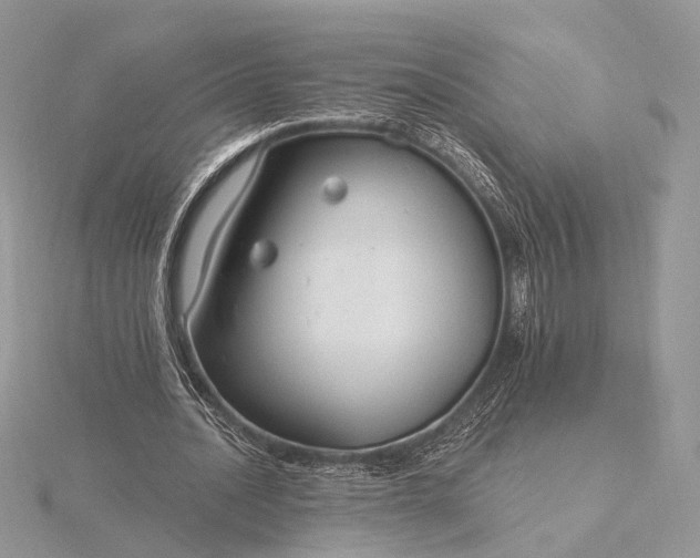 X0000116160628200912071325