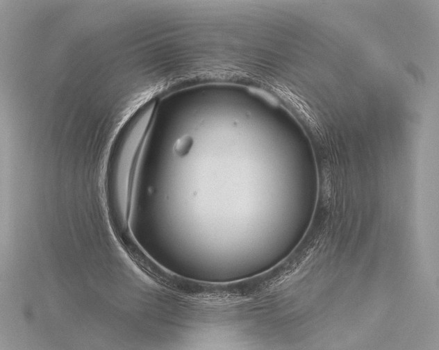 X0000116160630200912071325