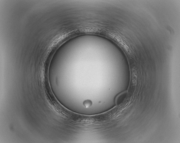 X0000116160631200912071325