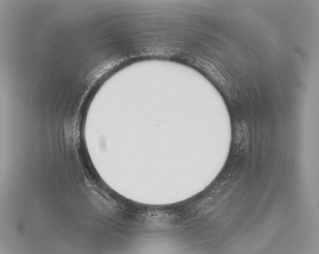 X0000116160632200912071325