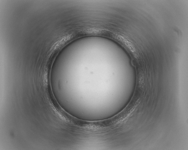 X0000116160633200912071325