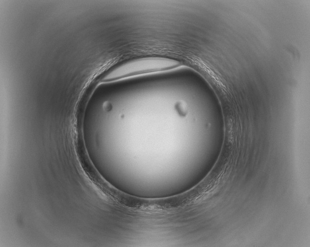 X0000116160634200912071325