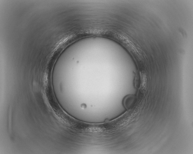 X0000116160636200912071325