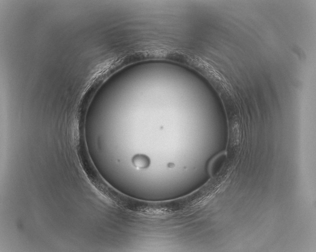 X0000116160638200912071325