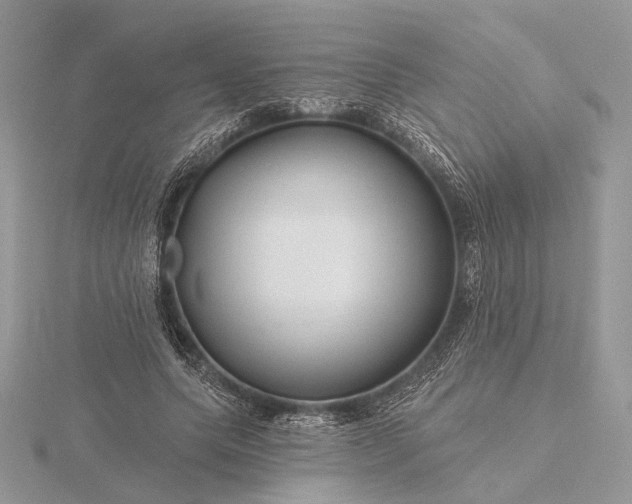 X0000116160639200912071325