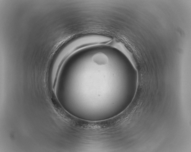 X0000116160640200912071325