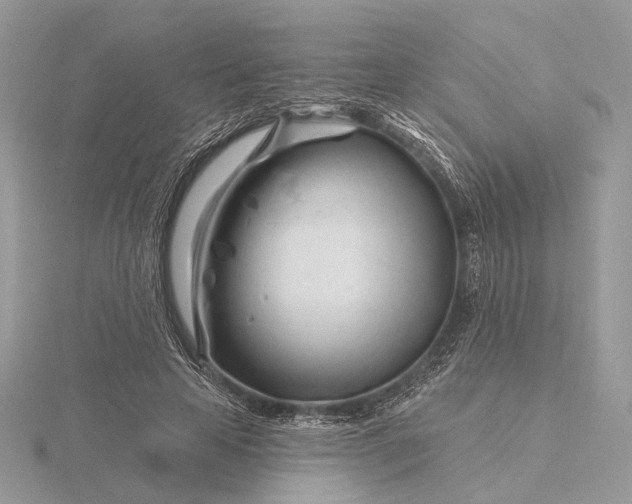 X0000116160641200912071325