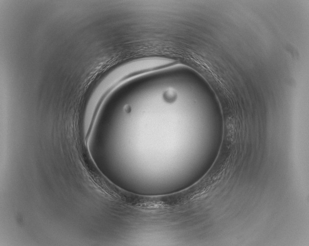 X0000116160642200912071325