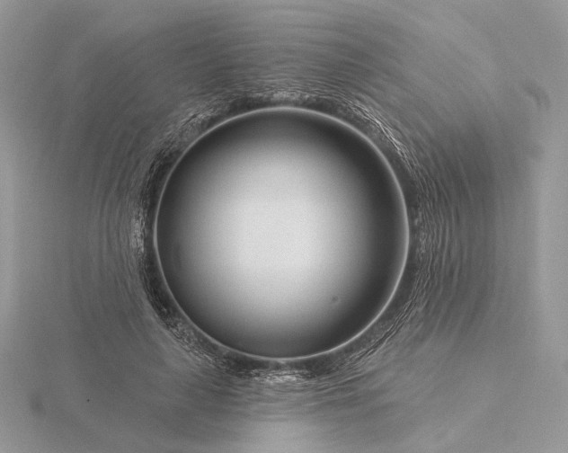 X0000116160643200912071325