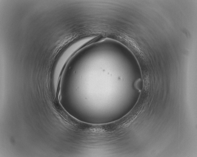 X0000116160644200912071325