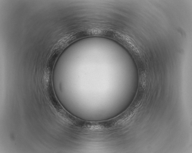 X0000116160645200912071325