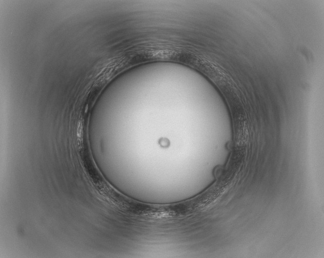 X0000116160646200912071325