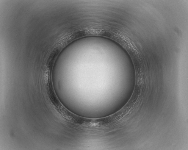 X0000116160647200912071325