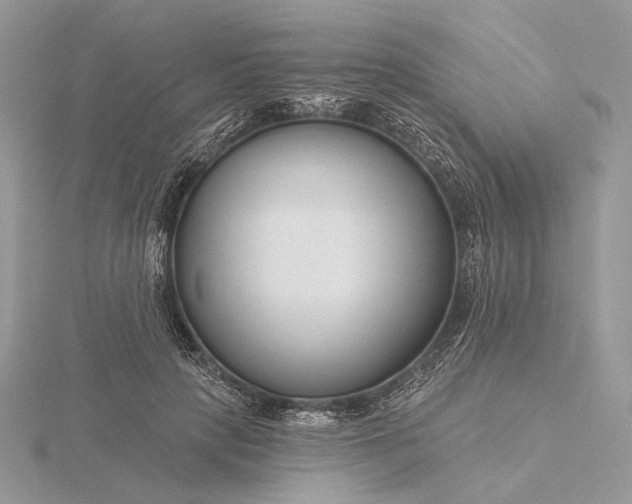 X0000116160649200912071325