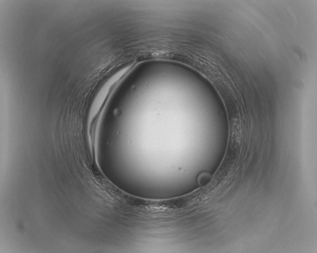 X0000116160650200912071325