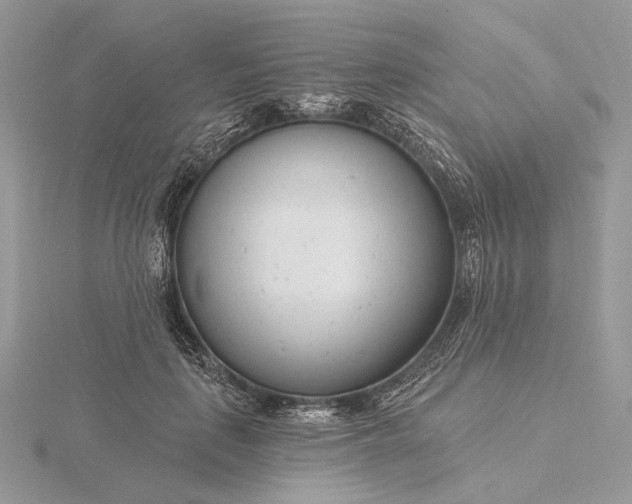 X0000116160651200912071325