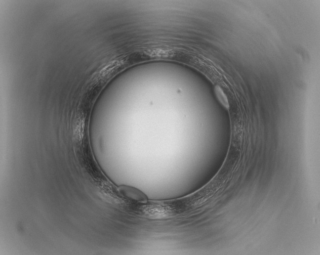 X0000116160652200912071325