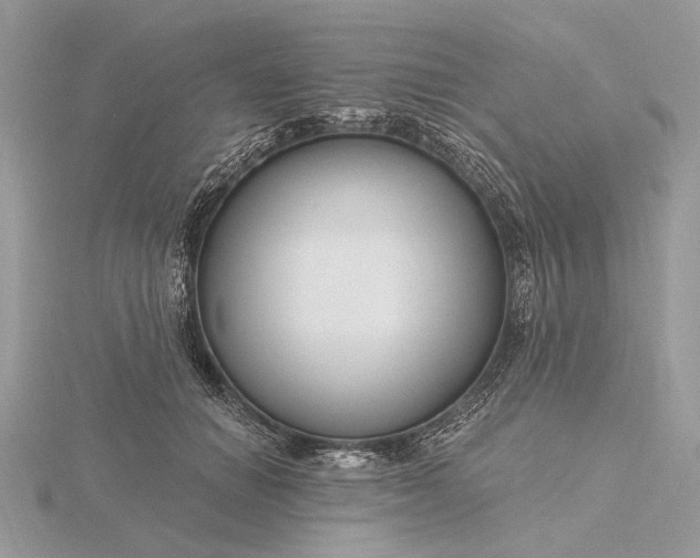 X0000116160654200912071325