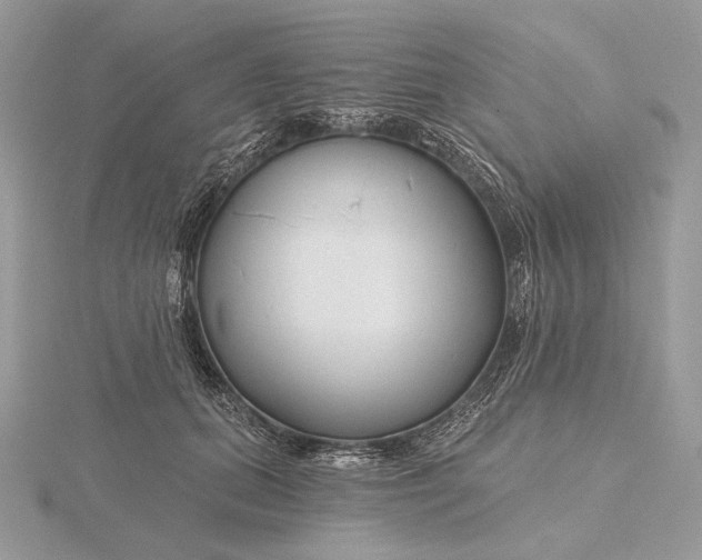 X0000116160655200912071325