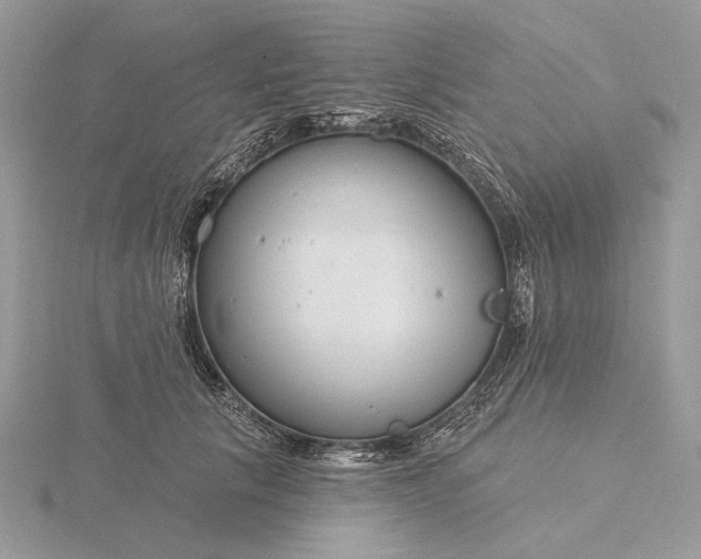 X0000116160657200912071326