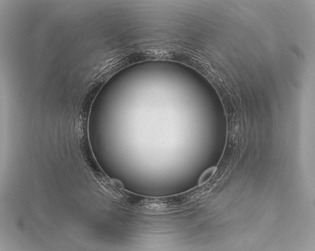 X0000116160658200912071326