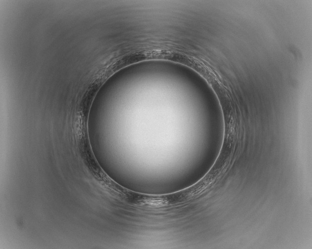 X0000116160659200912071326