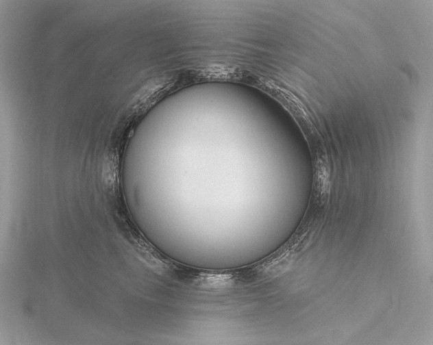 X0000116160665200912071326