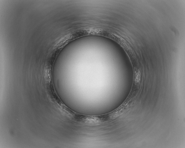 X0000116160666200912071326