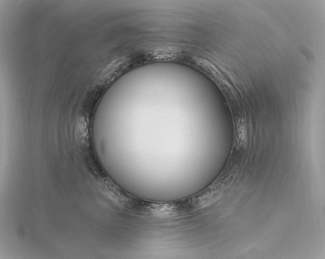 X0000116160667200912071326