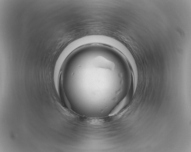 X0000116160670200912071326