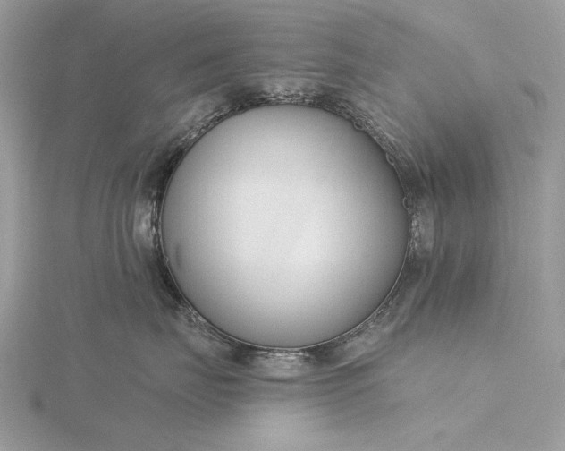 X0000116160671200912071326