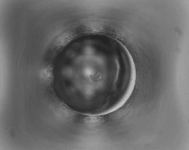 X0000116160672200912071326