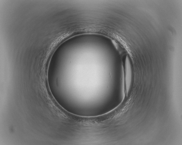 X0000116160673200912071325