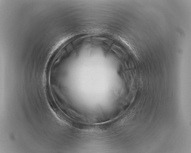 X0000116160674200912071325