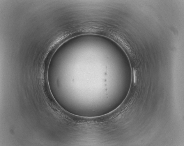 X0000116160675200912071325