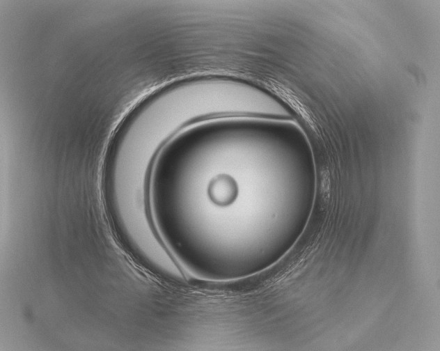 X0000116160676200912071325