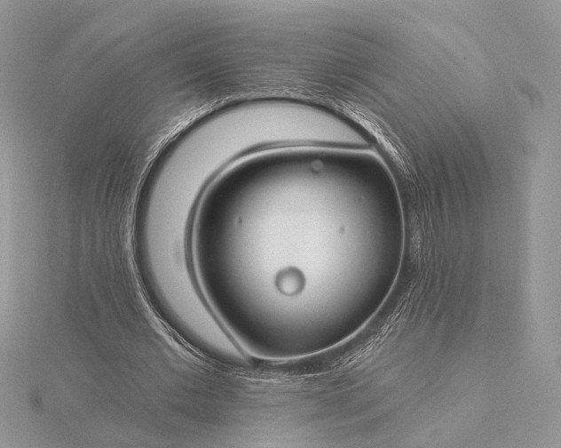 X0000116160677200912071325