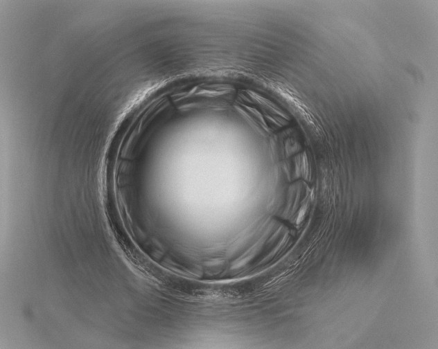 X0000116160678200912071325