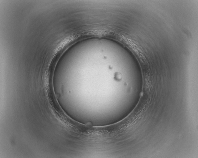 X0000116160679200912071325