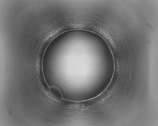 X0000116160681200912071325