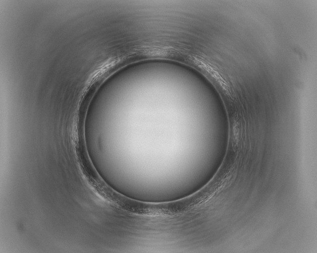 X0000116160682200912071325