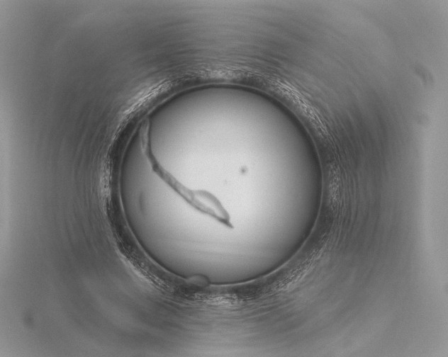 X0000116160683200912071325