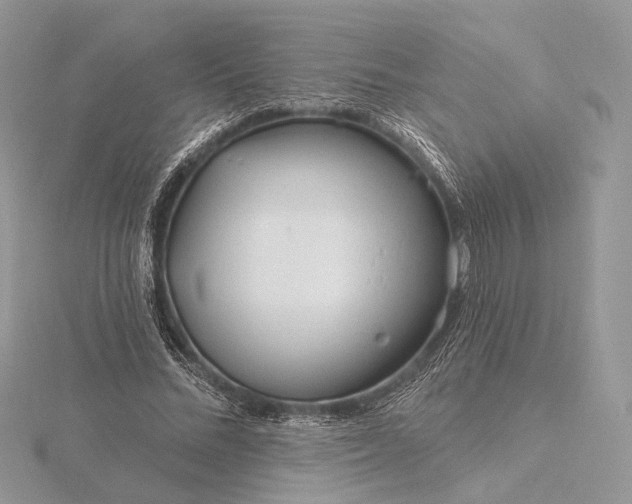 X0000116160684200912071325