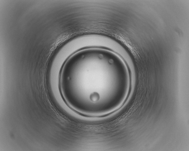 X0000116160685200912071325